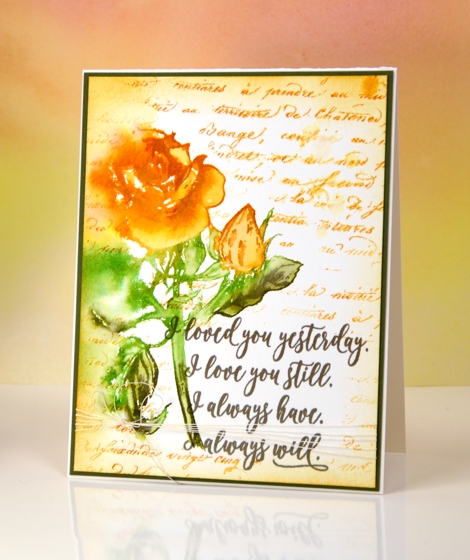 Yellow rose Heather Telford