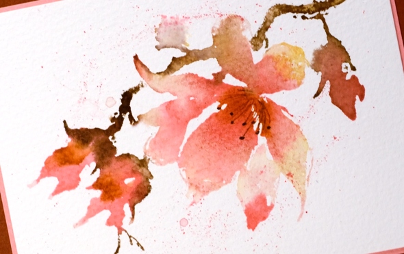 magnolia closeup Heather Telford