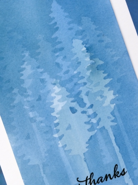 forest closeup Heather Telford