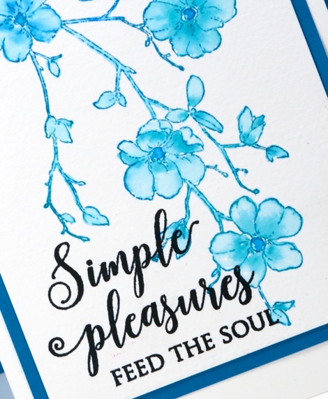 simple pleasures close up