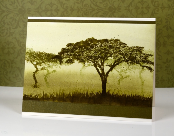 watercolour trees Heather Telford