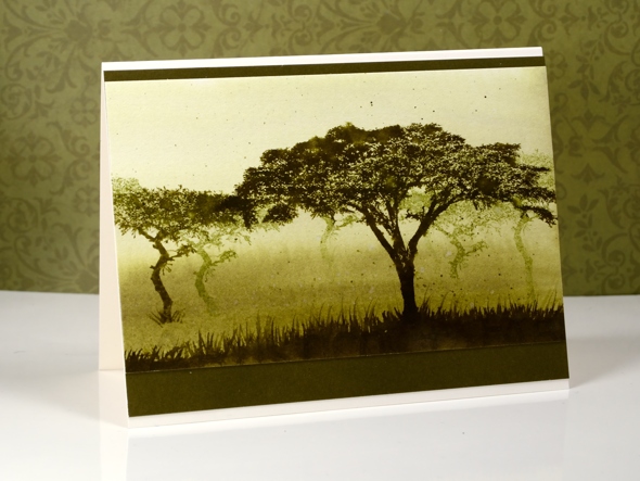 watercolour trees Heather Telford