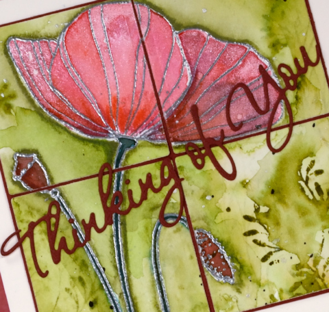 poppy quarters close up Heather Telford