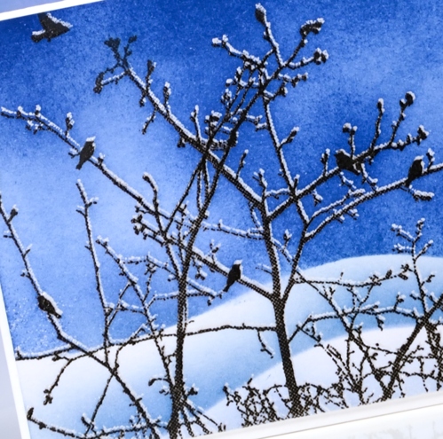 stillness close up Heather Telford