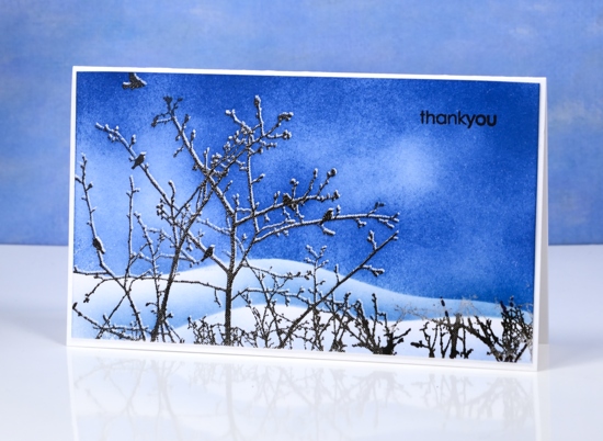 stillness Heather Telford