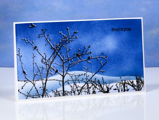 stillness Heather Telford