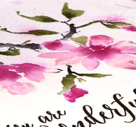 dsc_4508-magnolia-rhapsody-thumbnail