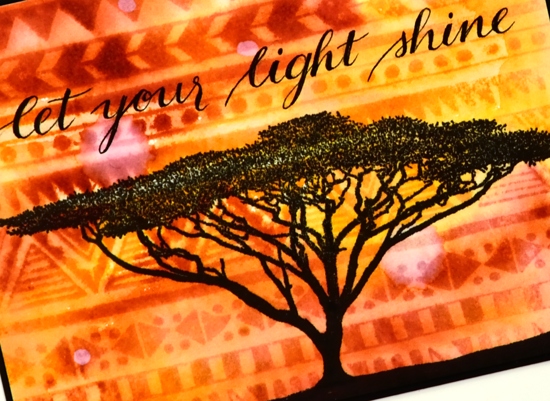 light shine close up Heather Telford