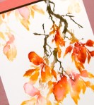 effulgent close up Heather Telford