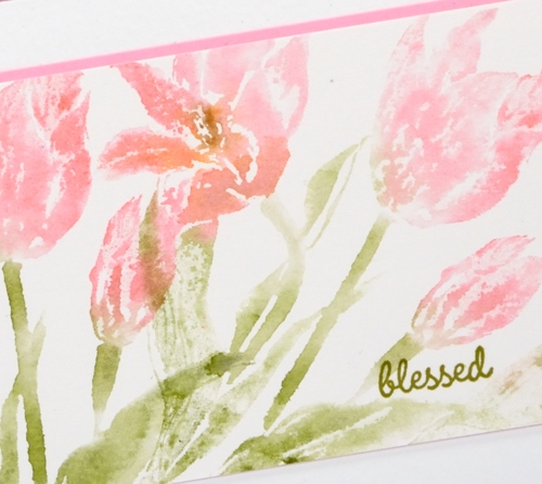 tulips close up Heather Telford