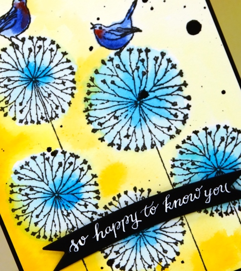 happy bliss close up Heather Telford