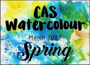 cas-challenge-spring