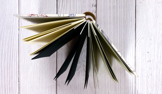 This image has an empty alt attribute; its file name is dsc_7785-aus-accordian-spine-top-view-heather-telford.jpg